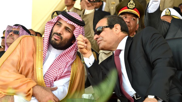 المهندس درويش حسنين