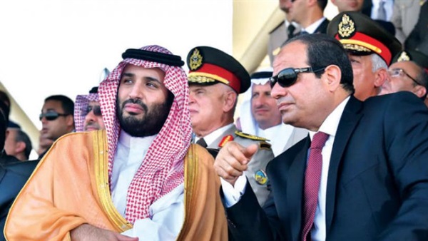 المواطن