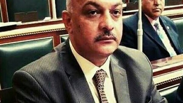 حسن سيد خليل-برلماني