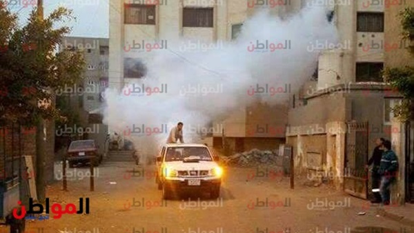 المواطن