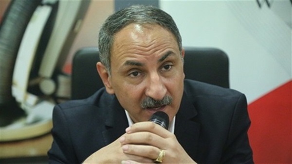 مجدي ملك عضو مجلس
