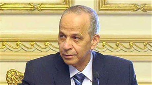 محافظ القليوبية