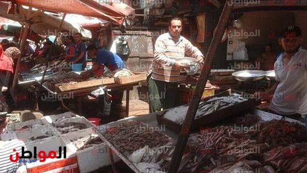 سوق الأسماك - دمياط