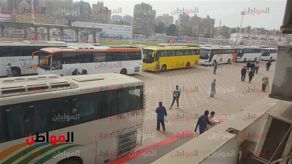 مرتضى منصور