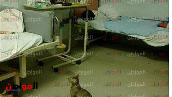 مستشفى حكومية
