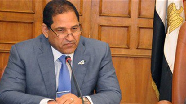 محافظ الغربية أحمد