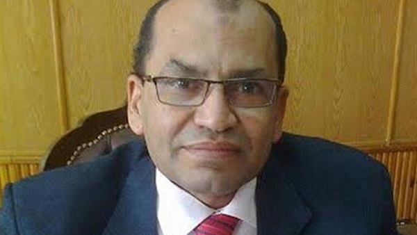 المستشار محمد إسماعيل