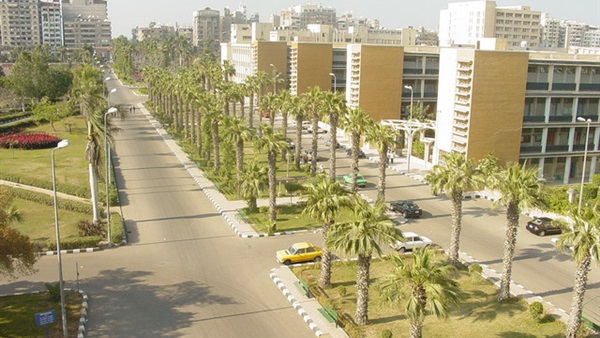 جامعة المنصورة 