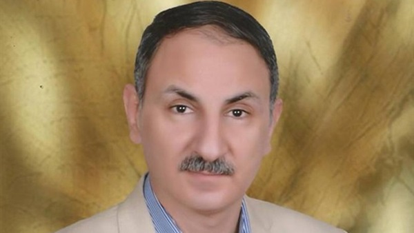 مجدي ملك، عضو مجلس