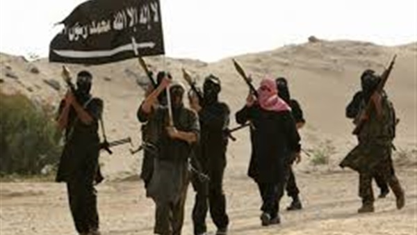 تنظيم القاعدة