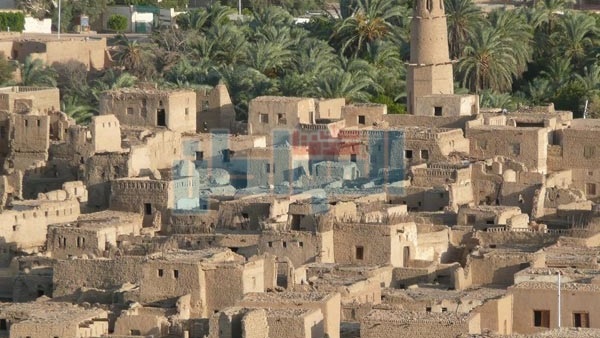 المواطن