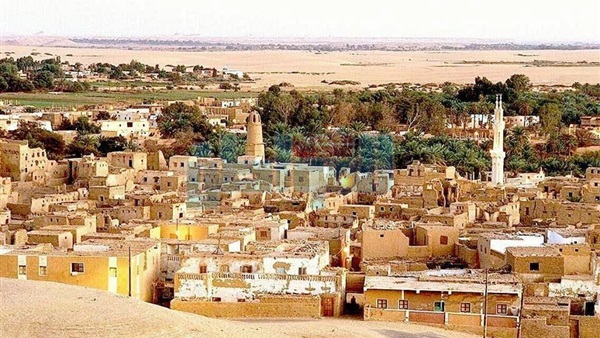 جانب من الحدث