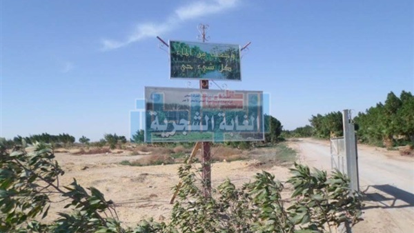 جانب من الحدث