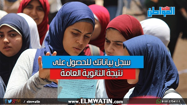 المواطن