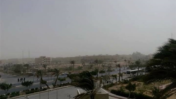 الدوريات المرورية-جنوب