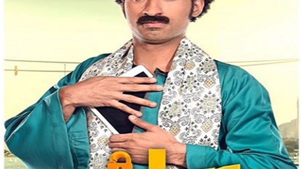 علي ربيع