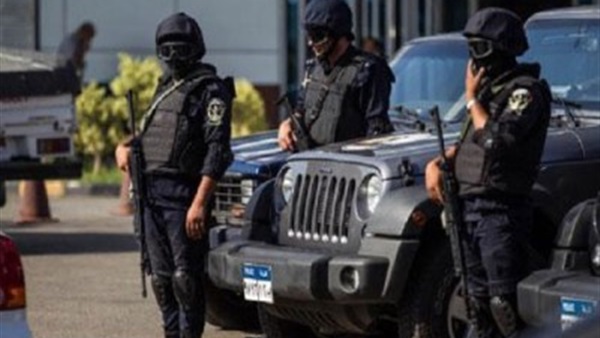 قوات التدخل السريع