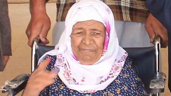 مسنه تسعينيه-الدقهلية-انتخابات