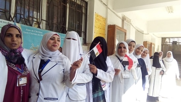 مستشفيات الدقهلية-انتخابات