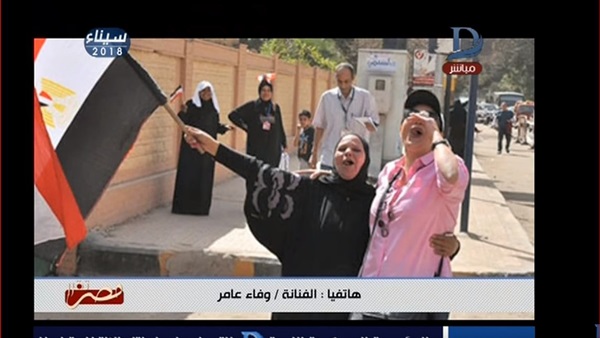 الفنانة وفاء عامر