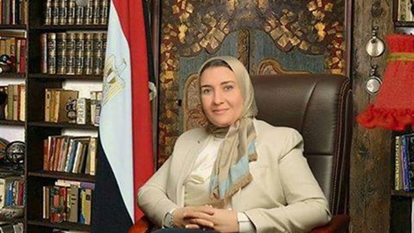 سناء برغش عضو مجلس