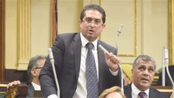 النائب كريم سالم