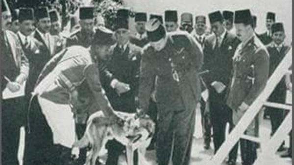 الشرطة المصرية -