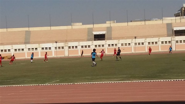 المنيا والمدينة المنورة