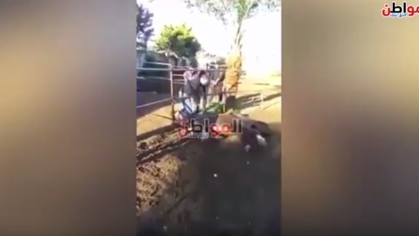 تعذيب وحشي لحصان