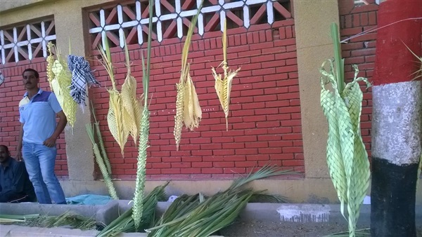 بائع زعف النخيل