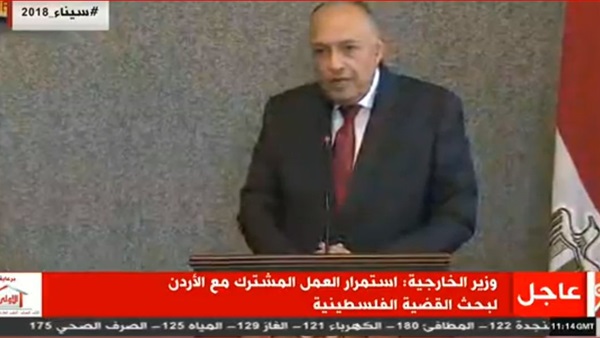 سامح شكري وزير الخارجية