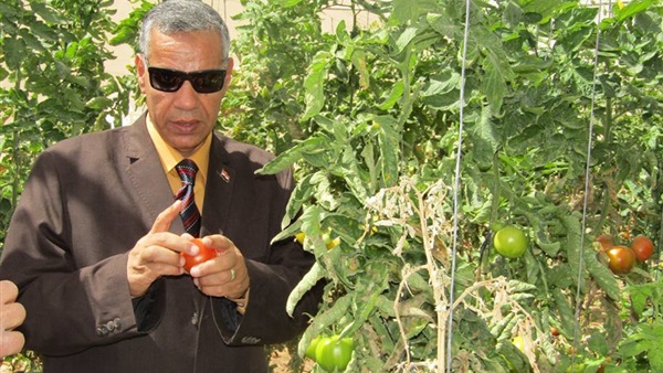 أحمد عبد العظيم رئيس