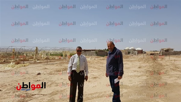 المهندس عبدالله حامد