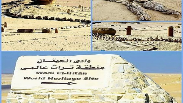 وادي الحيتان