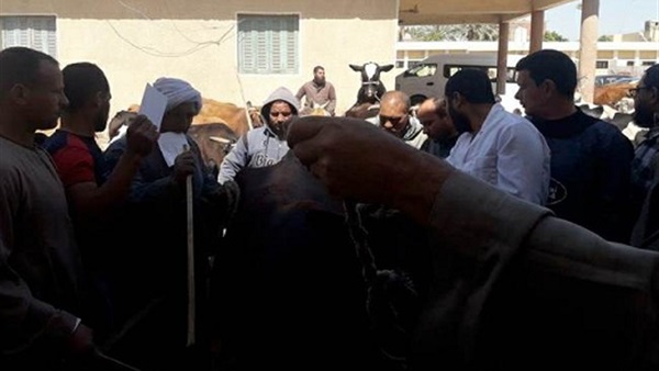 المواطن