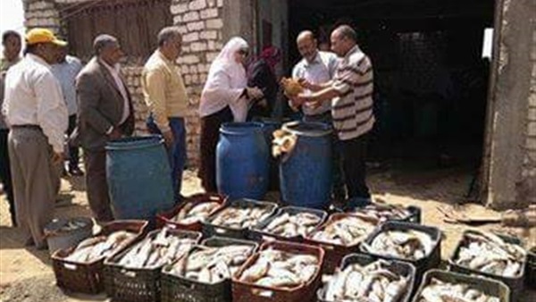 ضبط صاحب مصنع فسيخ