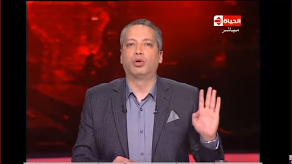 تامر امين