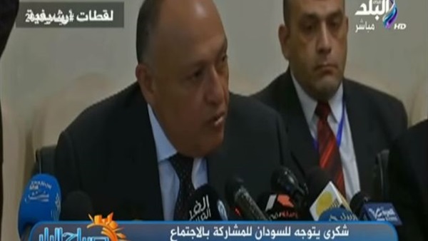 سامح شكري وزير الخارجية