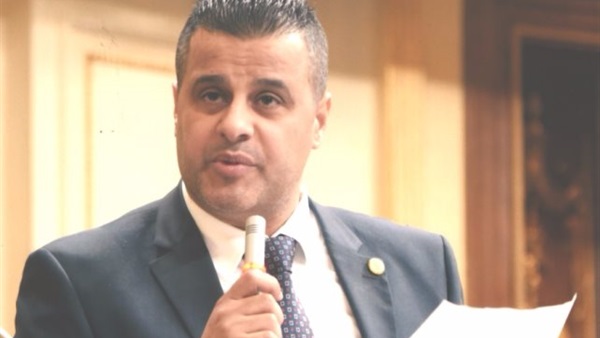 النائب عاصم عبد العزيز