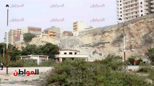 المواطن