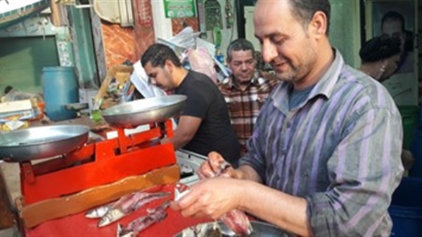 محلات الأسماك المملحة