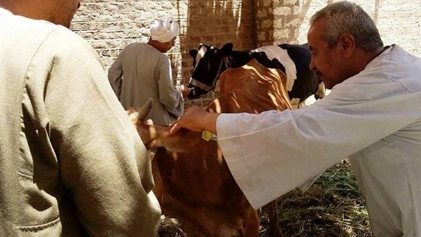 حملة بيطرية-سوهاج