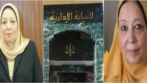 المستشارة فريال قطب