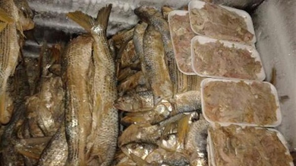 رنجة فاسدة