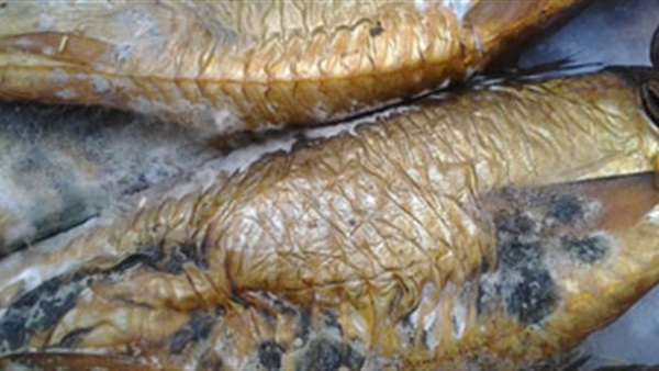 رنجة فاسدة