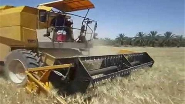 حصاد قمح