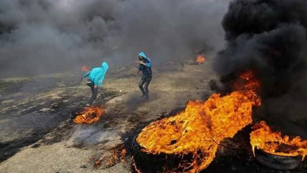فلسطين