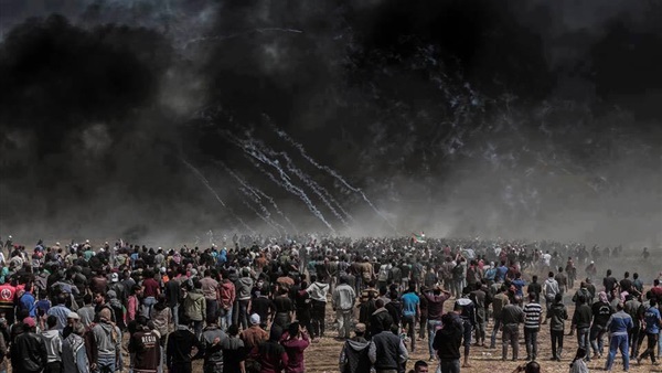 الاشتباكات فى فلسطين