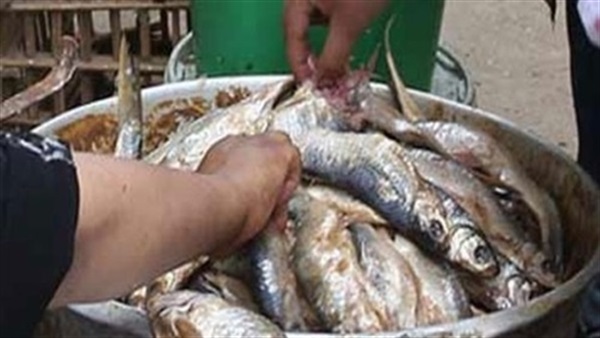 رنجة فاسدة-الدقهلية