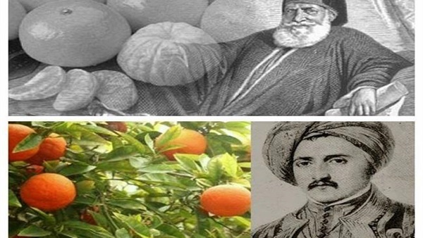 قصة اليوسفي